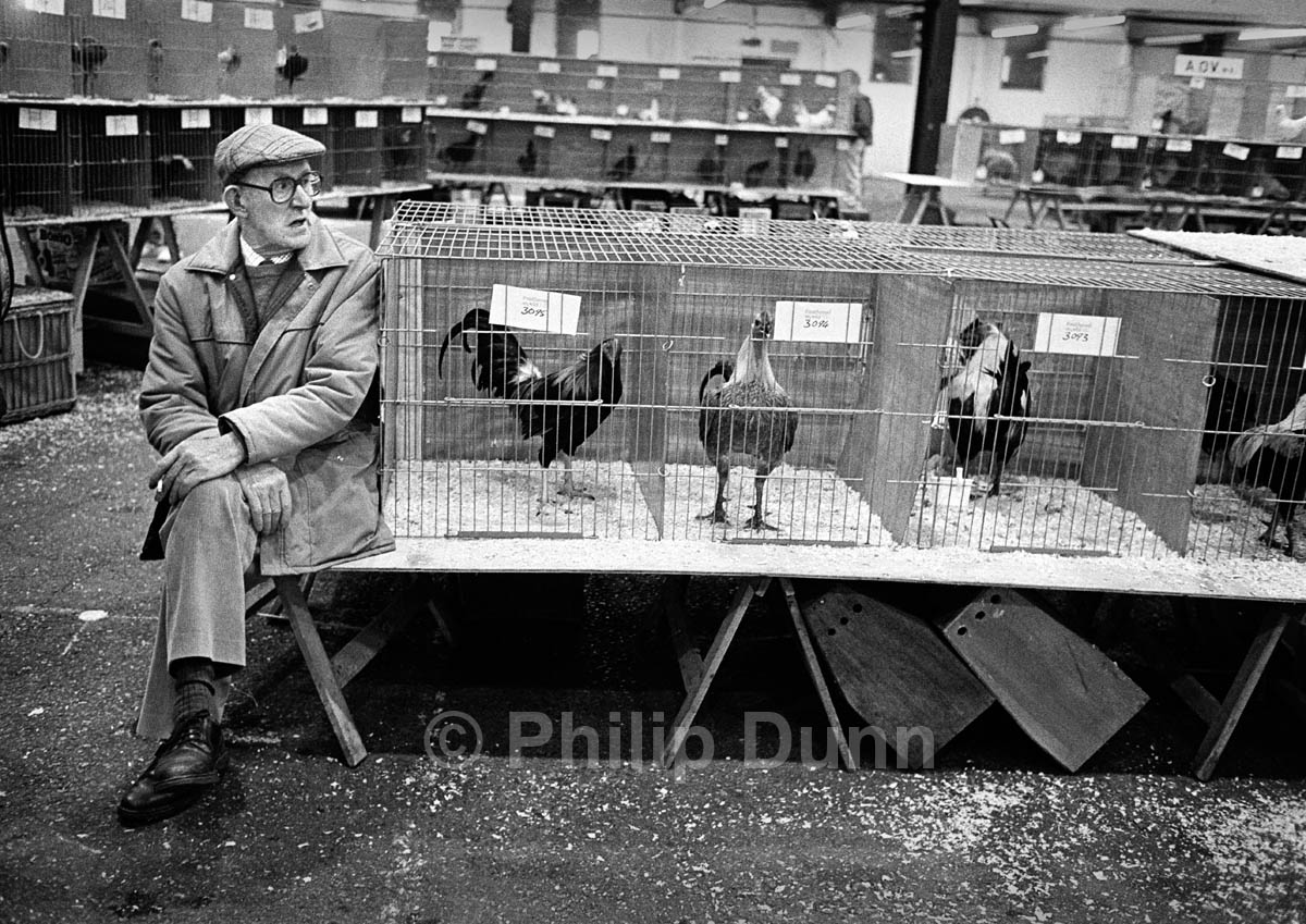 Man in cloth cap sits beside exhibits in poultry show - black and white image