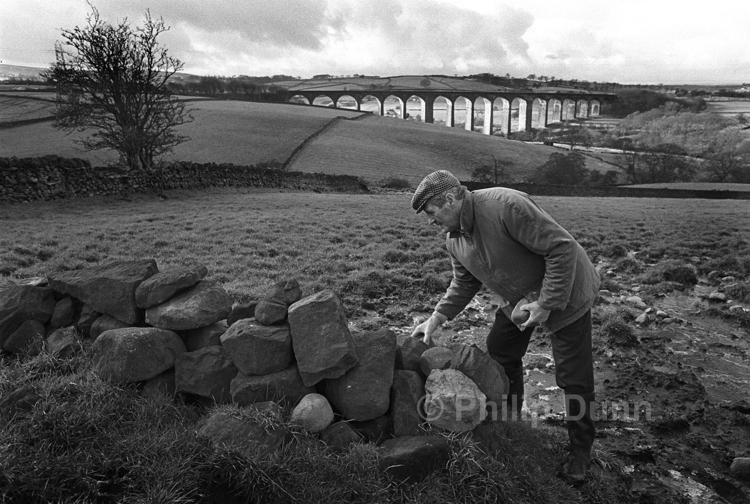 Farmer, mends a stone wall in a field above a railway viaduct, Yorkshire
