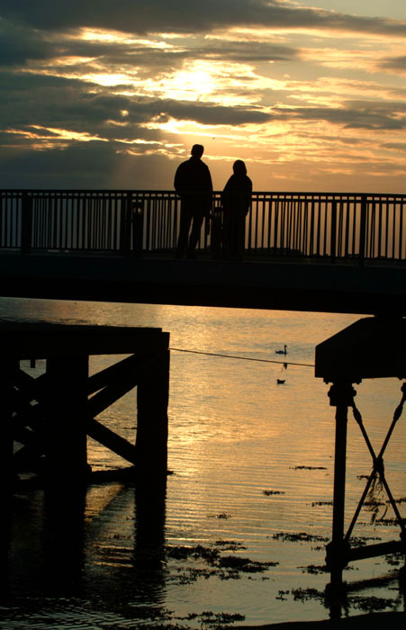 Silhouettes in sunsets