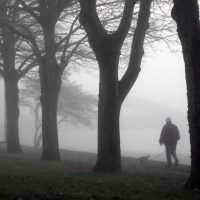 Photography in fog