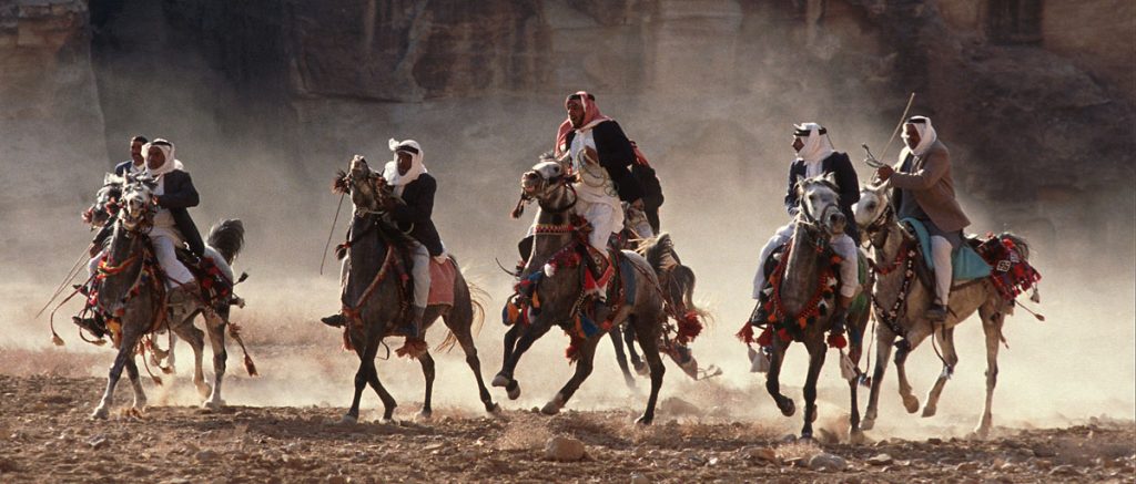 capturing the action - desert horse race