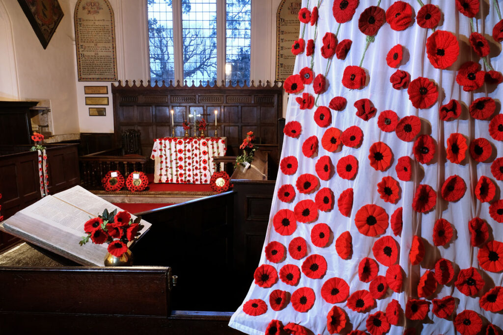 Read more about the article Poppies and Flash