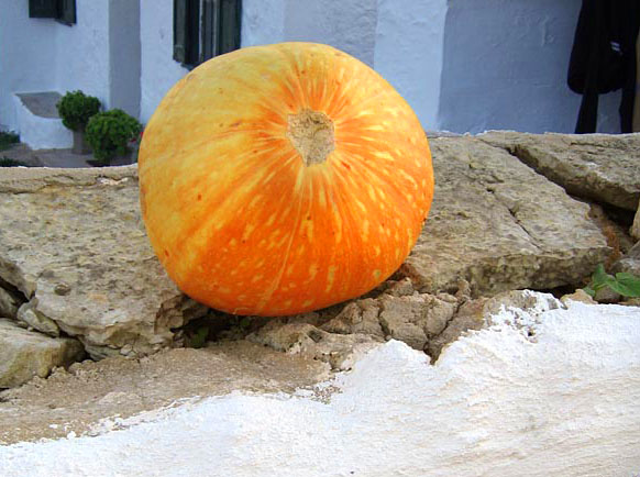 Orange water melon on a stone wall in Spain
